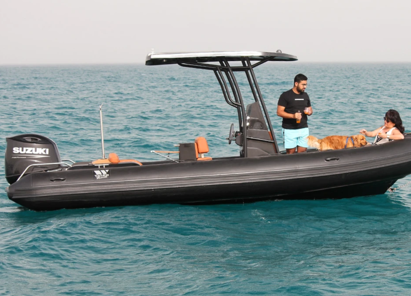 PRO LINE 620 PL
